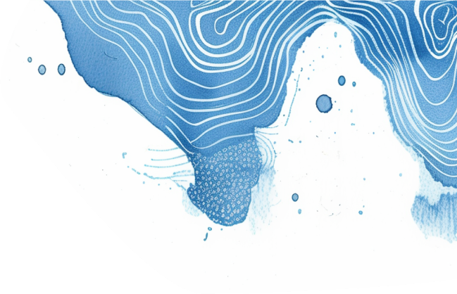 Signup Wave Bottom