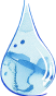 Freshwater Ecosystems