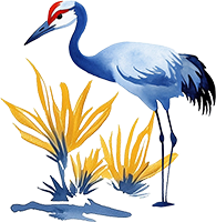 Conducting a Waterbody Clean-up